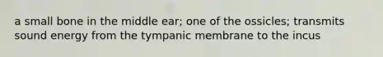 a small bone in the middle ear; one of the ossicles; transmits sound energy from the tympanic membrane to the incus