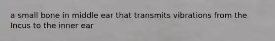 a small bone in middle ear that transmits vibrations from the Incus to the inner ear