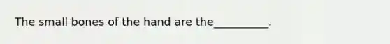 The small bones of the hand are the__________.