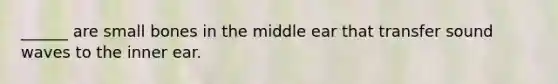 ______ are small bones in the middle ear that transfer sound waves to the inner ear.