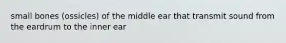 small bones (ossicles) of the middle ear that transmit sound from the eardrum to the inner ear