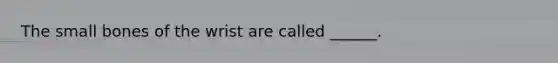 The small bones of the wrist are called ______.