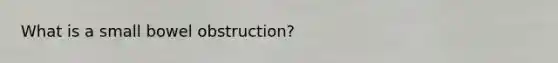 What is a small bowel obstruction?