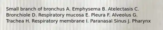 Small branch of bronchus A. Emphysema B. Atelectasis C. Bronchiole D. Respiratory mucosa E. Pleura F. Alveolus G. Trachea H. Respiratory membrane I. Paranasal Sinus J. Pharynx