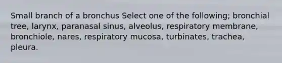 Small branch of a bronchus Select one of the following; bronchial tree, larynx, paranasal sinus, alveolus, respiratory membrane, bronchiole, nares, respiratory mucosa, turbinates, trachea, pleura.