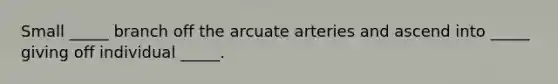 Small _____ branch off the arcuate arteries and ascend into _____ giving off individual _____.