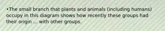 •The small branch that plants and animals (including humans) occupy in this diagram shows how recently these groups had their origin ... with other groups.