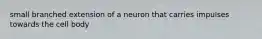 small branched extension of a neuron that carries impulses towards the cell body