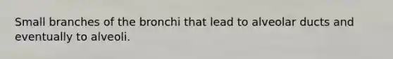 Small branches of the bronchi that lead to alveolar ducts and eventually to alveoli.