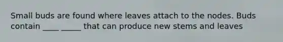 Small buds are found where leaves attach to the nodes. Buds contain ____ _____ that can produce new stems and leaves