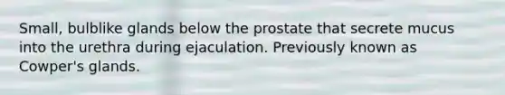 Small, bulblike glands below the prostate that secrete mucus into the urethra during ejaculation. Previously known as Cowper's glands.