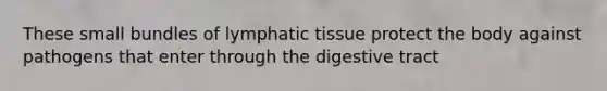 These small bundles of lymphatic tissue protect the body against pathogens that enter through the digestive tract