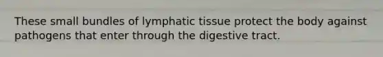 These small bundles of lymphatic tissue protect the body against pathogens that enter through the digestive tract.