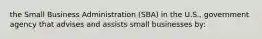 the Small Business Administration (SBA) in the U.S., government agency that advises and assists small businesses by: