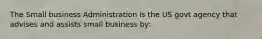 The Small business Administration is the US govt agency that advises and assists small business by: