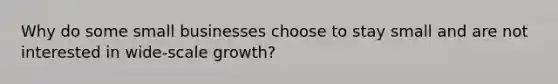 Why do some small businesses choose to stay small and are not interested in wide-scale growth?