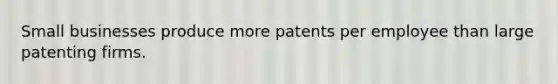 Small businesses produce more patents per employee than large patenting firms.