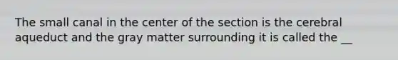 The small canal in the center of the section is the cerebral aqueduct and the gray matter surrounding it is called the __