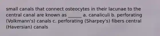 small canals that connect osteocytes in their lacunae to the central canal are known as ______ a. canaliculi b. perforating (Volkmann's) canals c. perforating (Sharpey's) fibers central (Haversian) canals