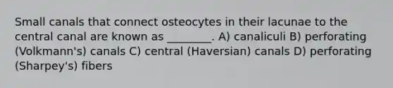 Small canals that connect osteocytes in their lacunae to the central canal are known as ________. A) canaliculi B) perforating (Volkmann's) canals C) central (Haversian) canals D) perforating (Sharpey's) fibers