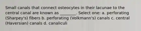 Small canals that connect osteocytes in their lacunae to the central canal are known as ________. Select one: a. perforating (Sharpey's) fibers b. perforating (Volkmann's) canals c. central (Haversian) canals d. canaliculi