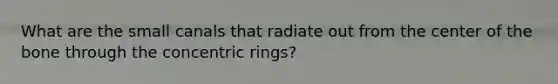 What are the small canals that radiate out from the center of the bone through the concentric rings?