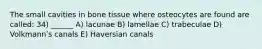 The small cavities in bone tissue where osteocytes are found are called: 34) ______ A) lacunae B) lamellae C) trabeculae D) Volkmannʹs canals E) Haversian canals