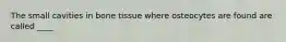 The small cavities in bone tissue where osteocytes are found are called ____