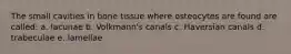 The small cavities in bone tissue where osteocytes are found are called: a. lacunae b. Volkmann's canals c. Haversian canals d. trabeculae e. lamellae