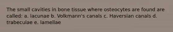 The small cavities in bone tissue where osteocytes are found are called: a. lacunae b. Volkmann's canals c. Haversian canals d. trabeculae e. lamellae