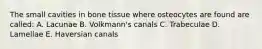 The small cavities in bone tissue where osteocytes are found are called: A. Lacunae B. Volkmann's canals C. Trabeculae D. Lamellae E. Haversian canals