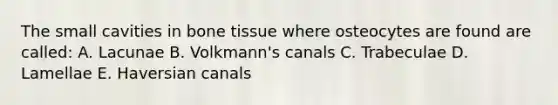 The small cavities in bone tissue where osteocytes are found are called: A. Lacunae B. Volkmann's canals C. Trabeculae D. Lamellae E. Haversian canals