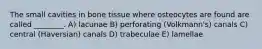 The small cavities in bone tissue where osteocytes are found are called ________. A) lacunae B) perforating (Volkmann's) canals C) central (Haversian) canals D) trabeculae E) lamellae