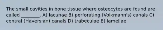 The small cavities in bone tissue where osteocytes are found are called ________. A) lacunae B) perforating (Volkmann's) canals C) central (Haversian) canals D) trabeculae E) lamellae