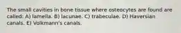 The small cavities in bone tissue where osteocytes are found are called: A) lamella. B) lacunae. C) trabeculae. D) Haversian canals. E) Volkmann's canals.