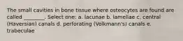 The small cavities in bone tissue where osteocytes are found are called ________. Select one: a. lacunae b. lamellae c. central (Haversian) canals d. perforating (Volkmann's) canals e. trabeculae