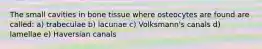 The small cavities in bone tissue where osteocytes are found are called: a) trabeculae b) lacunae c) Volksmann's canals d) lamellae e) Haversian canals