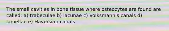 The small cavities in bone tissue where osteocytes are found are called: a) trabeculae b) lacunae c) Volksmann's canals d) lamellae e) Haversian canals