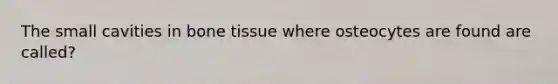 The small cavities in bone tissue where osteocytes are found are called?