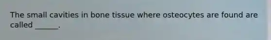 The small cavities in bone tissue where osteocytes are found are called ______.