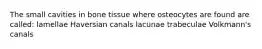 The small cavities in bone tissue where osteocytes are found are called: lamellae Haversian canals lacunae trabeculae Volkmann's canals