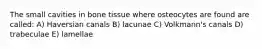 The small cavities in bone tissue where osteocytes are found are called: A) Haversian canals B) lacunae C) Volkmann's canals D) trabeculae E) lamellae