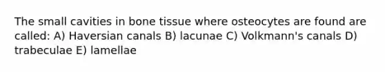 The small cavities in bone tissue where osteocytes are found are called: A) Haversian canals B) lacunae C) Volkmann's canals D) trabeculae E) lamellae