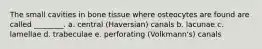 The small cavities in bone tissue where osteocytes are found are called ________. a. central (Haversian) canals b. lacunae c. lamellae d. trabeculae e. perforating (Volkmann's) canals