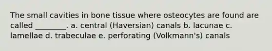 The small cavities in bone tissue where osteocytes are found are called ________. a. central (Haversian) canals b. lacunae c. lamellae d. trabeculae e. perforating (Volkmann's) canals