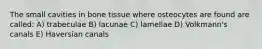 The small cavities in bone tissue where osteocytes are found are called: A) trabeculae B) lacunae C) lamellae D) Volkmann's canals E) Haversian canals