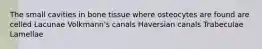 The small cavities in bone tissue where osteocytes are found are celled Lacunae Volkmann's canals Haversian canals Trabeculae Lamellae