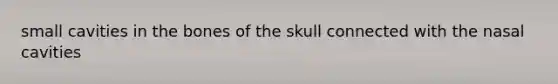 small cavities in the bones of the skull connected with the nasal cavities