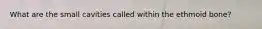 What are the small cavities called within the ethmoid bone?