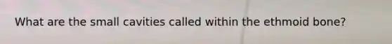 What are the small cavities called within the ethmoid bone?